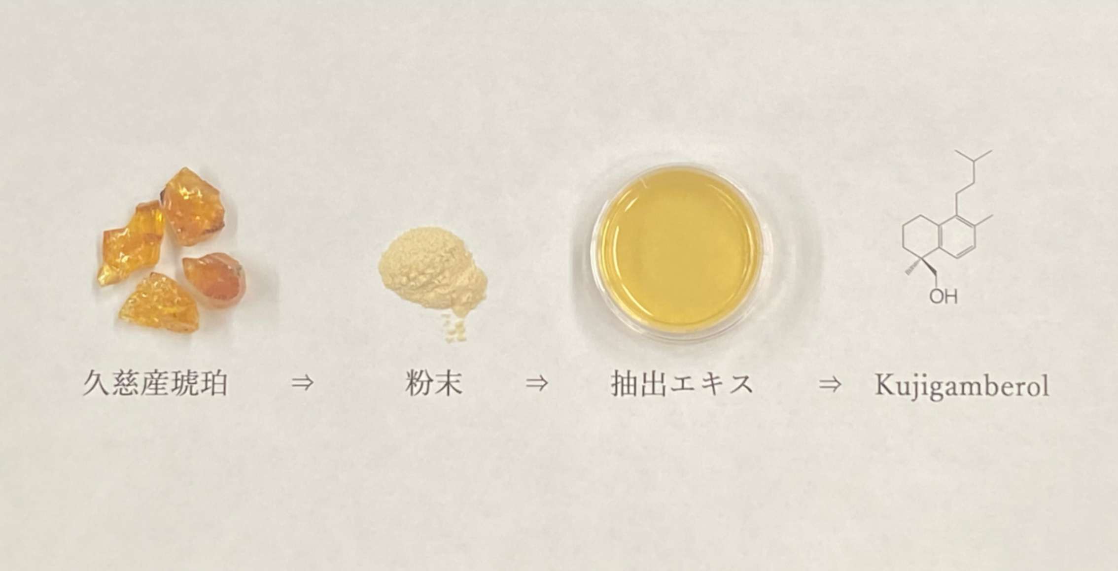 久慈産琥珀を世界へ発信するプロジェクト（天然物生化学研究室）